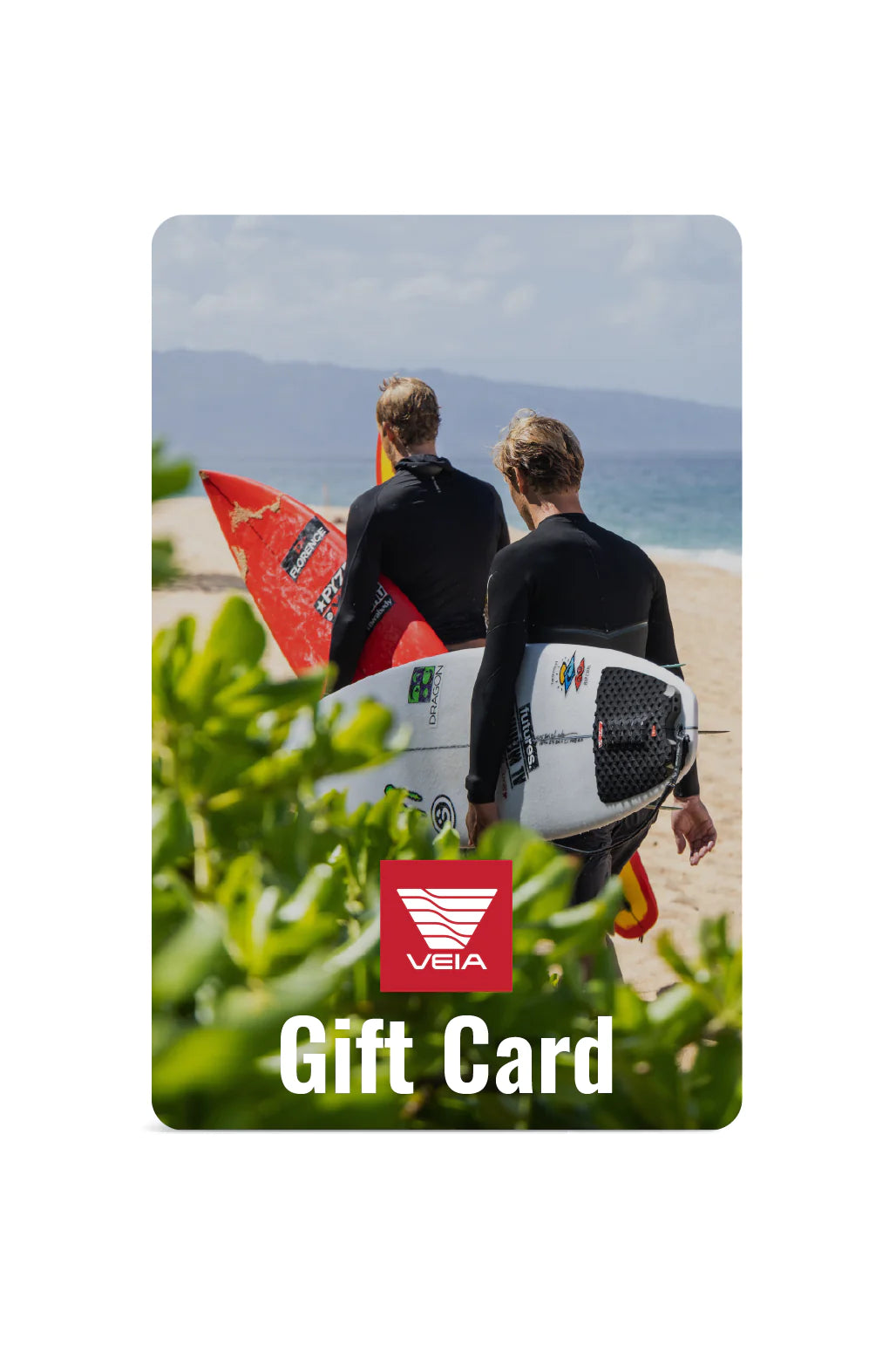VEIA Supplies Europe Gift Card